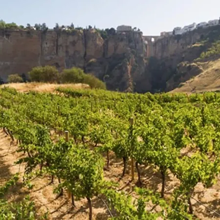 Hotell Valley 4*