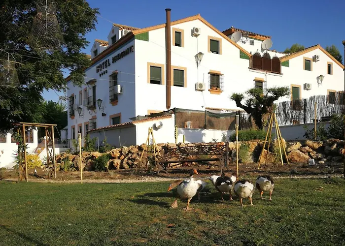 Hotel Hotel Don Manuel 4*